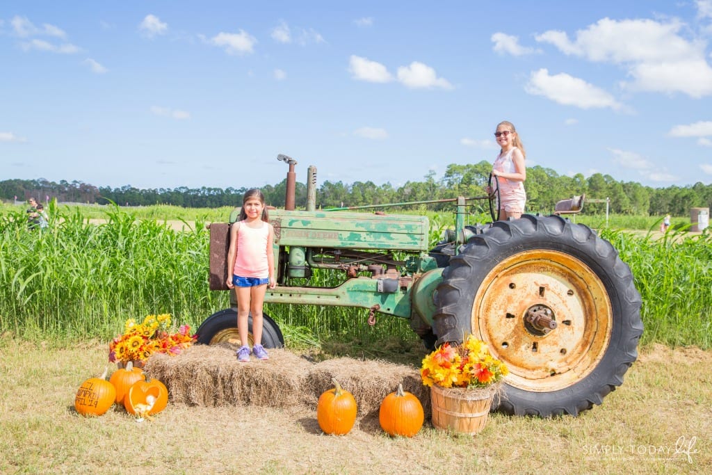 Pumpkin Picking in Florida Fall