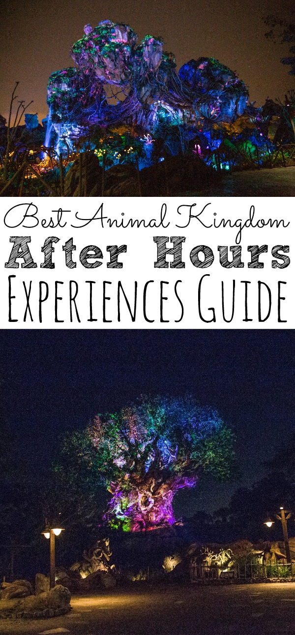 Best Animal Kingdom After Hours Experiences | A Night-Time Guide