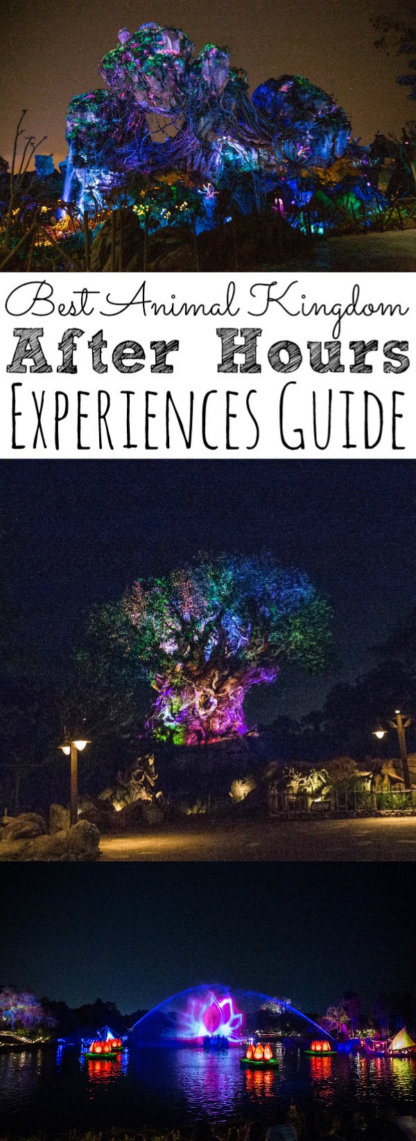 Animal Kingdom After Hours Experiences