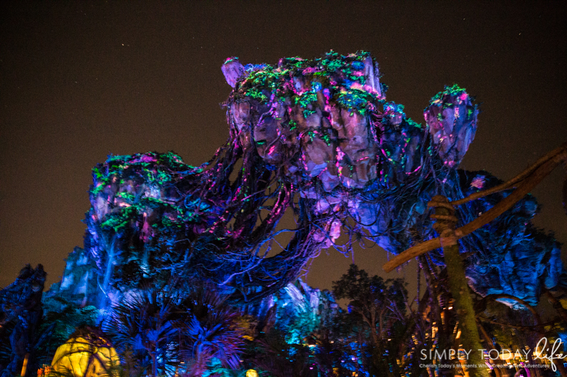 Disney Animal Kingdom Pandora at Night