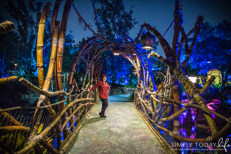 Pandora World of Avatar at Night