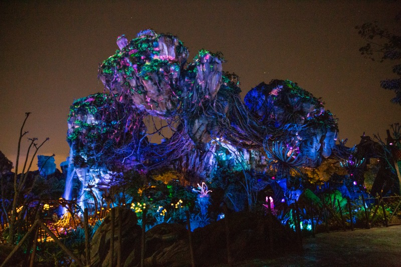 Best Animal Kingdom After Hours Experiences | A Night-Time Guide