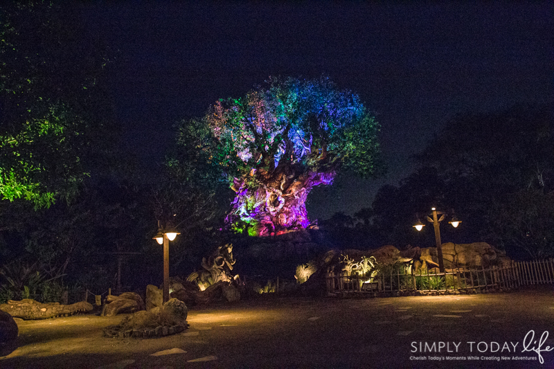 The Tree of Life at Animal Kingdome at Night