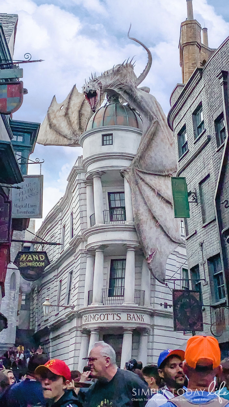 Universal Studios Gringotts Rides