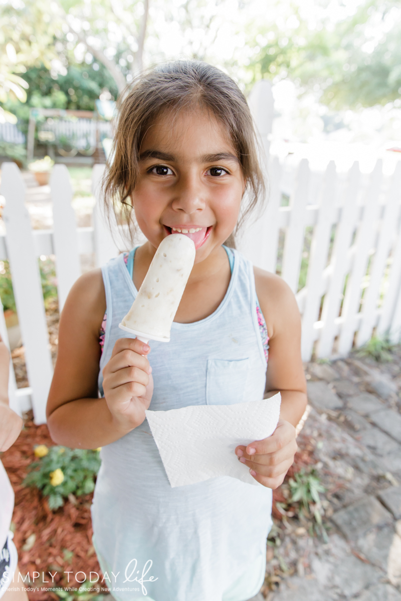 Breakfast Popsicle Fruit Recipe