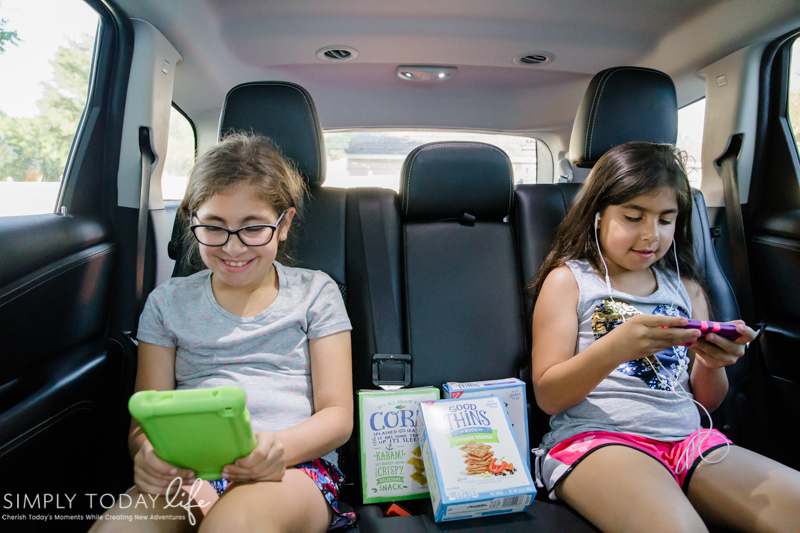 Road Trip Tips for Families