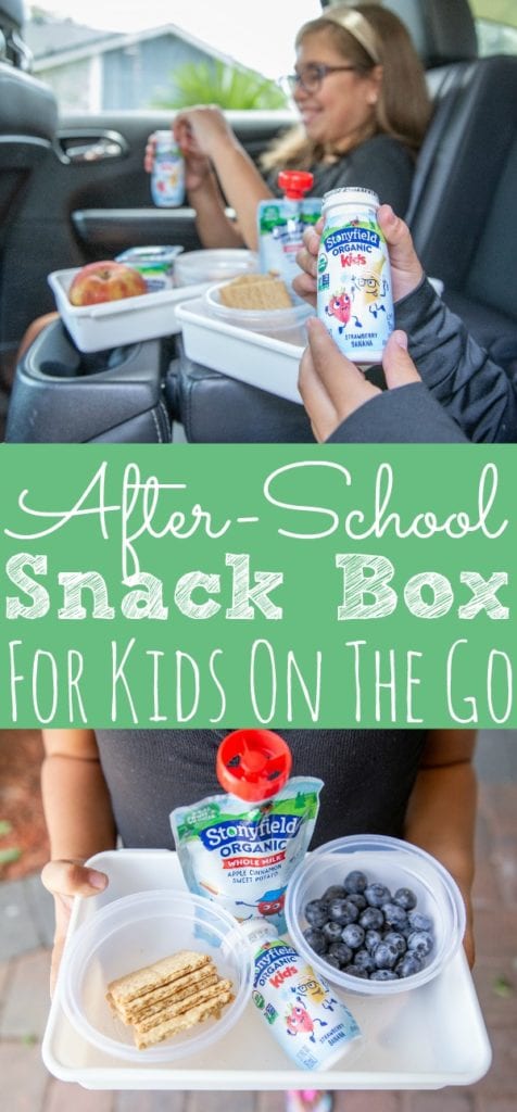 After-School Snack Box For Kids On The Go