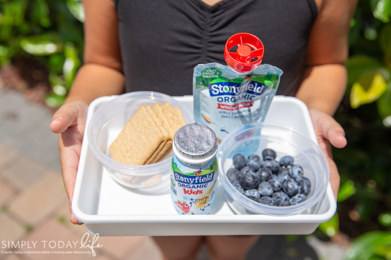 After-School Snack Box For Kids On The Go - Simply Today Life