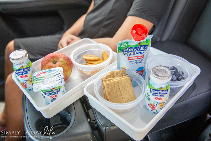 Perfect Snacks For Kids To Eat In The Car