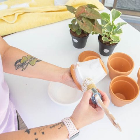 How To White Wash Terra Cotta Pots With Chalk Paint