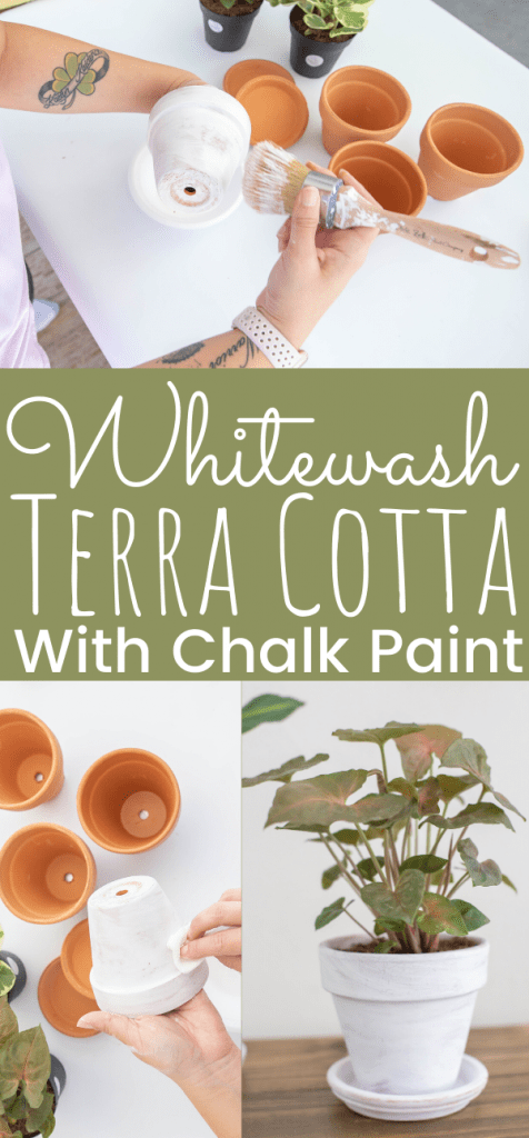 DIY Whitewash Terra Cotta Pots With Chalk Paint