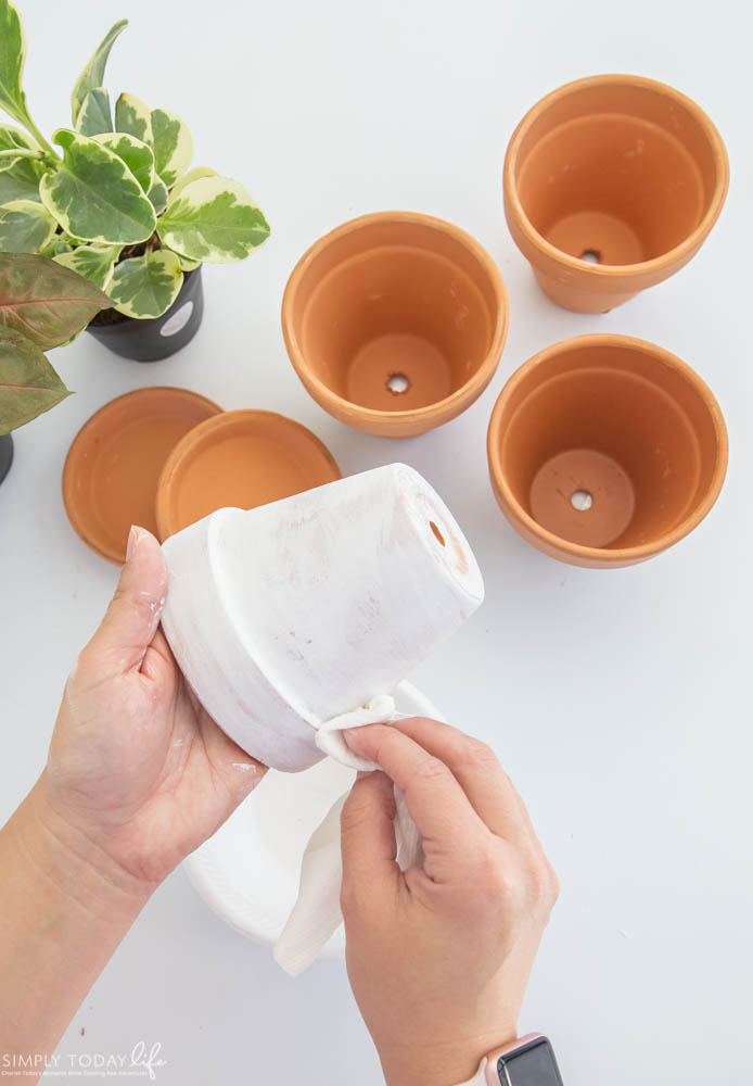 Easy DIY Terra Cotta Pots White Wash