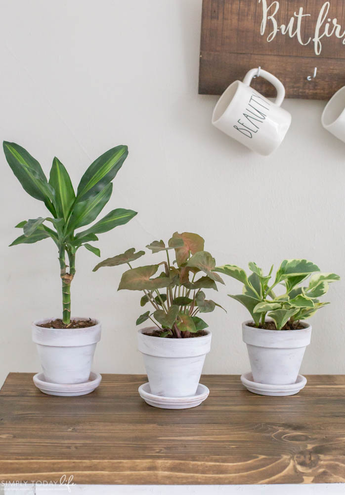 How To Paint Plant Pots White